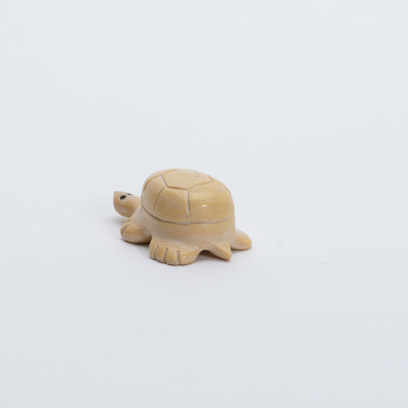 Unknown Artist: Dolomite, Turtle