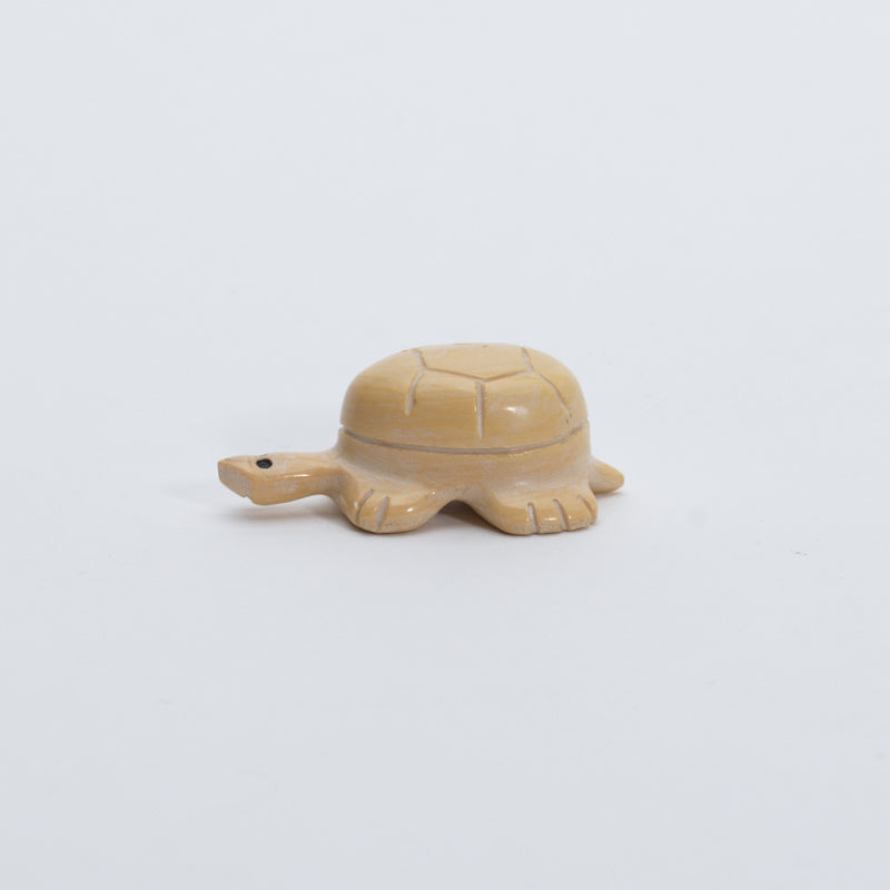 Unknown Artist: Dolomite, Turtle