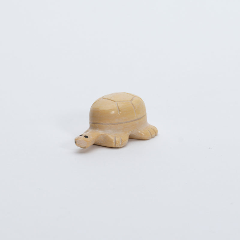 Unknown Artist: Dolomite, Turtle