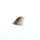 Clayton Panteah: Marble, Owl