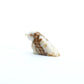 Clayton Panteah: Marble, Owl