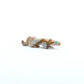 Ronnie Lunasee: Tigilite, Mountain Lion