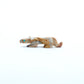 Ronnie Lunasee: Tigilite, Mountain Lion