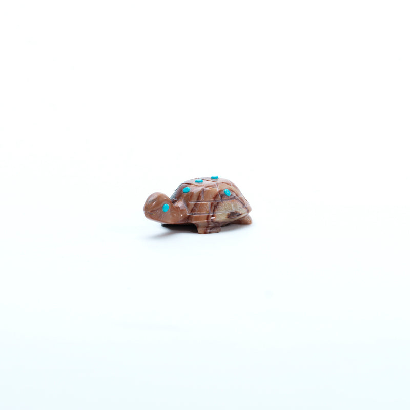 Ronnie Lunasee: Wavy Dolomite, Turtle