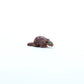 Ronnie Lunasee: Wavy Dolomite, Beaver