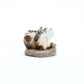 Della Haloo: Antler, Bear & Wolf
