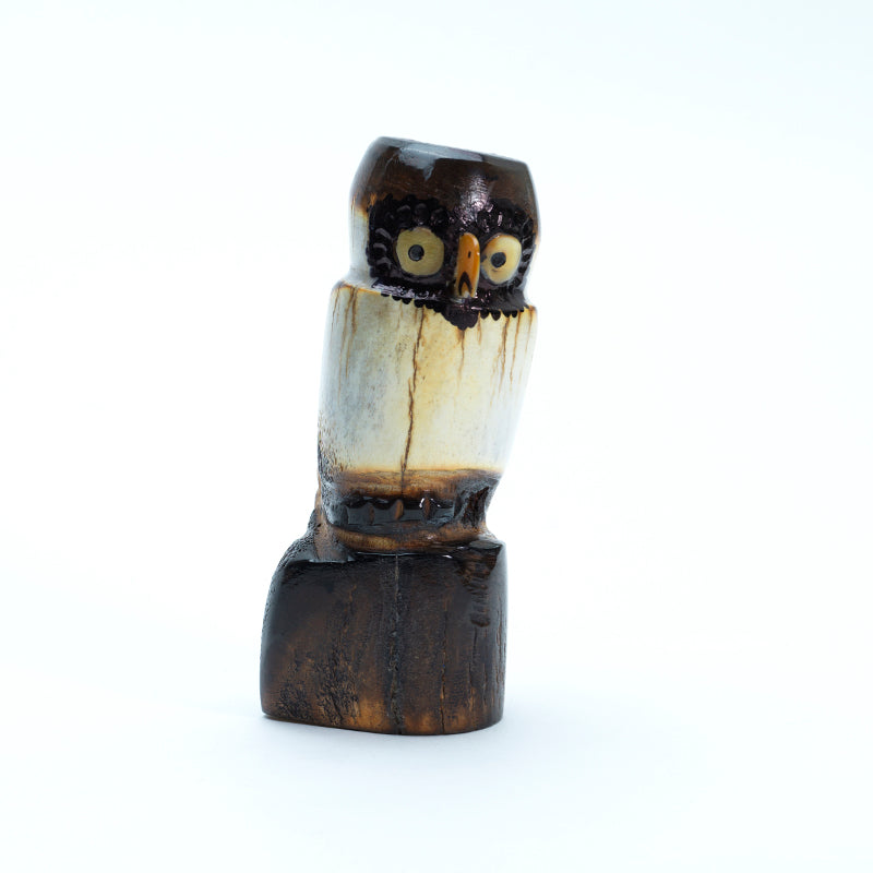 Craig Haloo: Antler, Owl