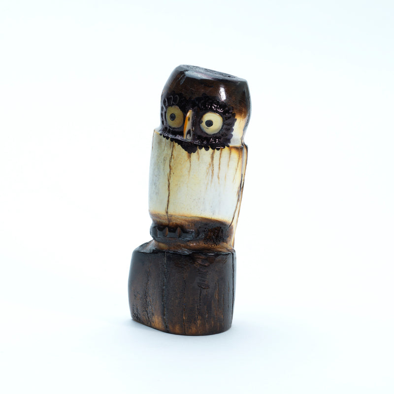 Craig Haloo: Antler, Owl