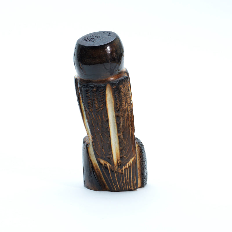Craig Haloo: Antler, Owl