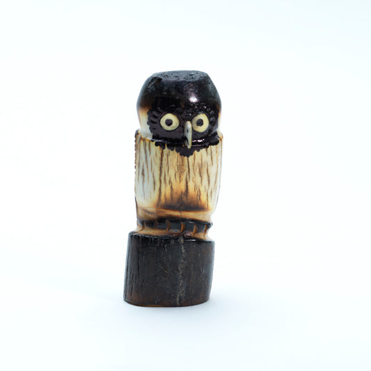 Craig Haloo: Antler, Owl