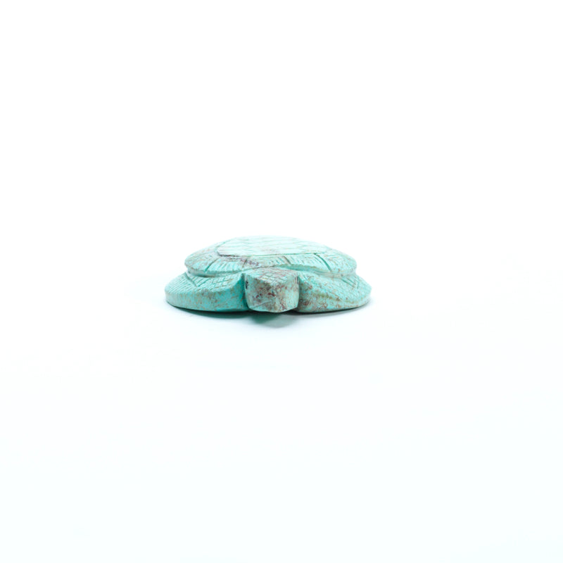 Vivella Cheama: Turquoise, Turtle