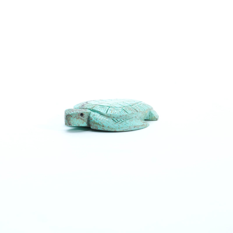 Vivella Cheama: Turquoise, Turtle