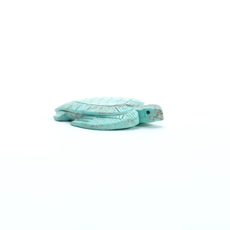 Vivella Cheama: Turquoise, Turtle