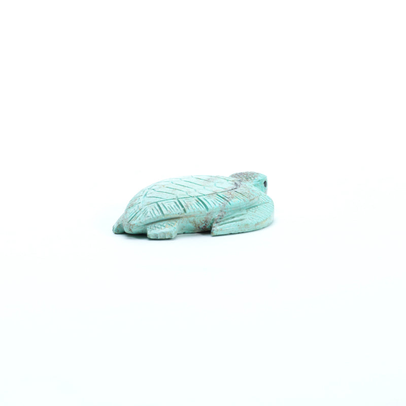 Vivella Cheama: Turquoise, Turtle