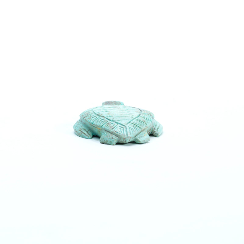 Vivella Cheama: Turquoise, Turtle