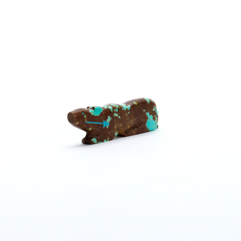 Abby Panteah: #8Turquoise, Mt. lion