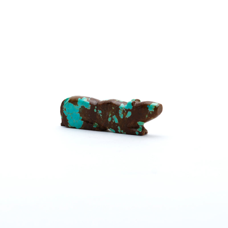 Abby Panteah: #8Turquoise, Mt. lion