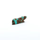 Abby Panteah: #8Turquoise, Mt. lion