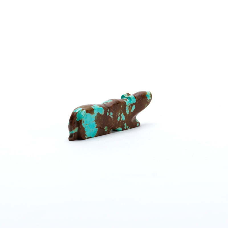 Abby Panteah: #8Turquoise, Mt. lion