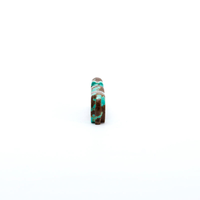 Abby Panteah: #8Turquoise, Mt. lion