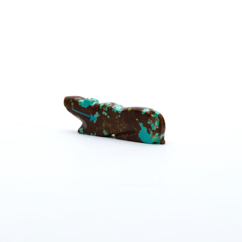 Abby Panteah: #8Turquoise, Mt. lion