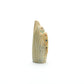 Vivella Cheama: Fishrock, Corn Maiden