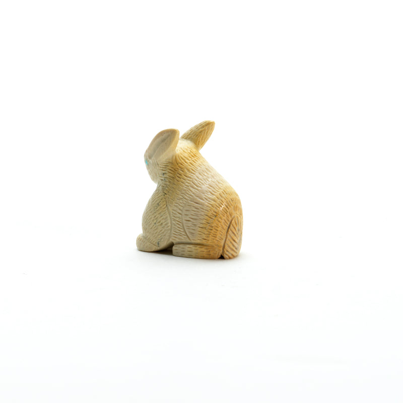 Vivella Cheama: Fish rock, Rabbit