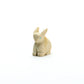 Vivella Cheama: Fish rock, Rabbit