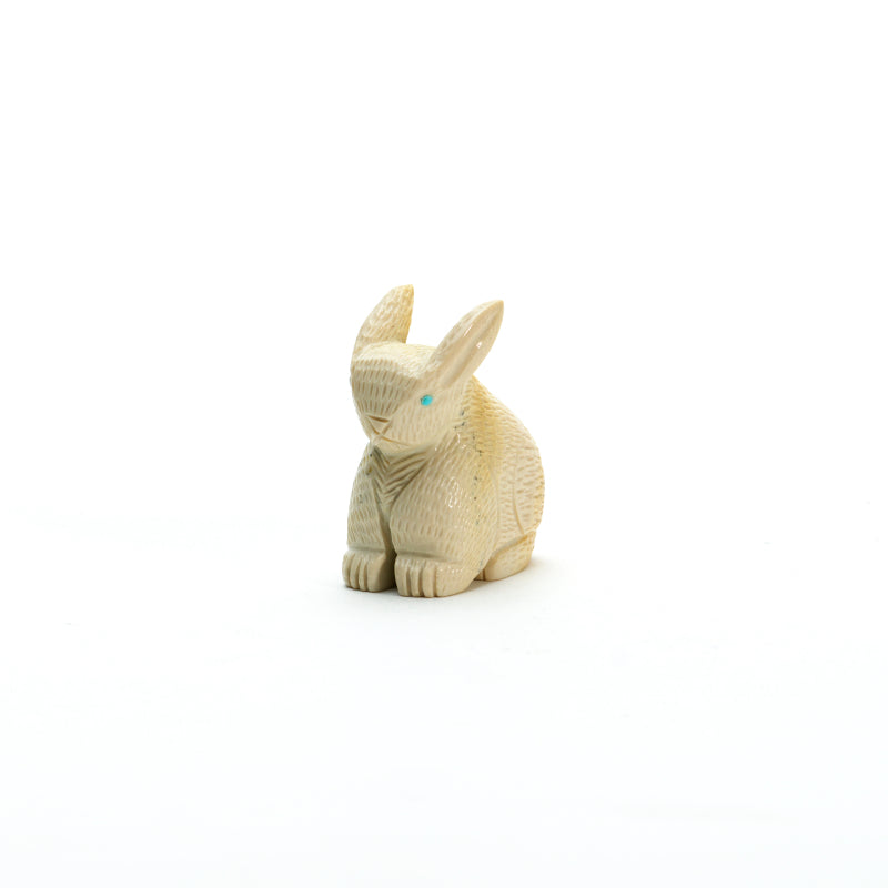 Vivella Cheama: Fish rock, Rabbit