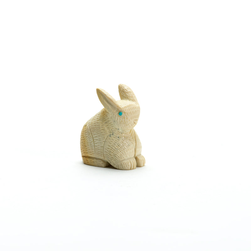 Vivella Cheama: Fish rock, Rabbit