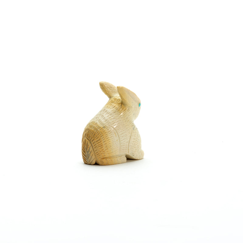 Vivella Cheama: Fish rock, Rabbit