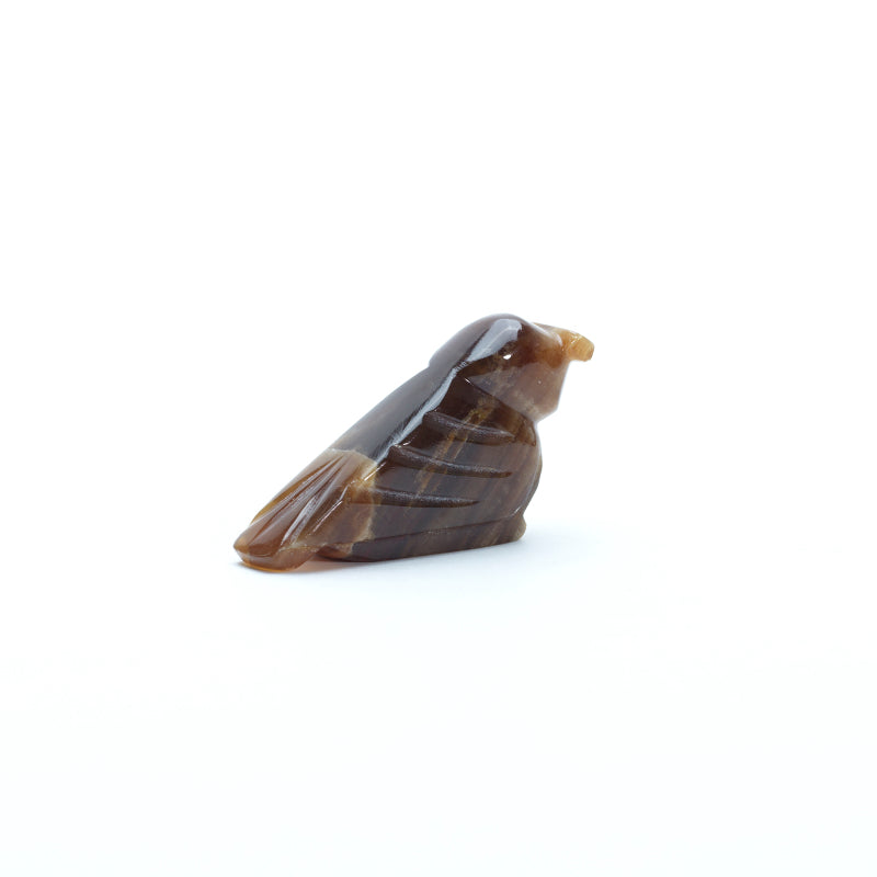 Clayton Panteah: Root Beer Onyx, Owl