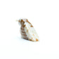 Clayton Panteah: Marble, Owl