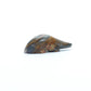 Clayton Panteah: Spirit Stone, Anteater