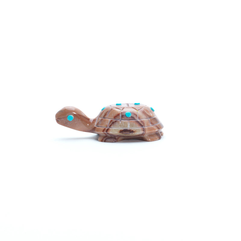 Ronnie Lunasee: Wavy Dolomite, Turtle