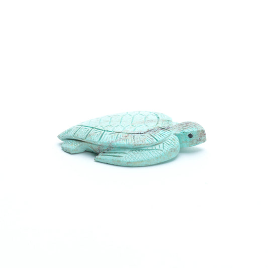Vivella Cheama: Turquoise, Turtle