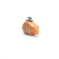 Emery Eriacho (d): Apple Coral, Bear