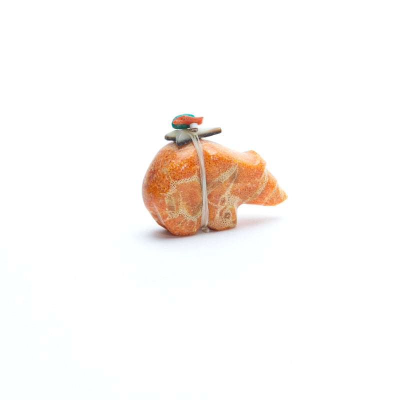 Emery Eriacho (d): Apple Coral, Bear