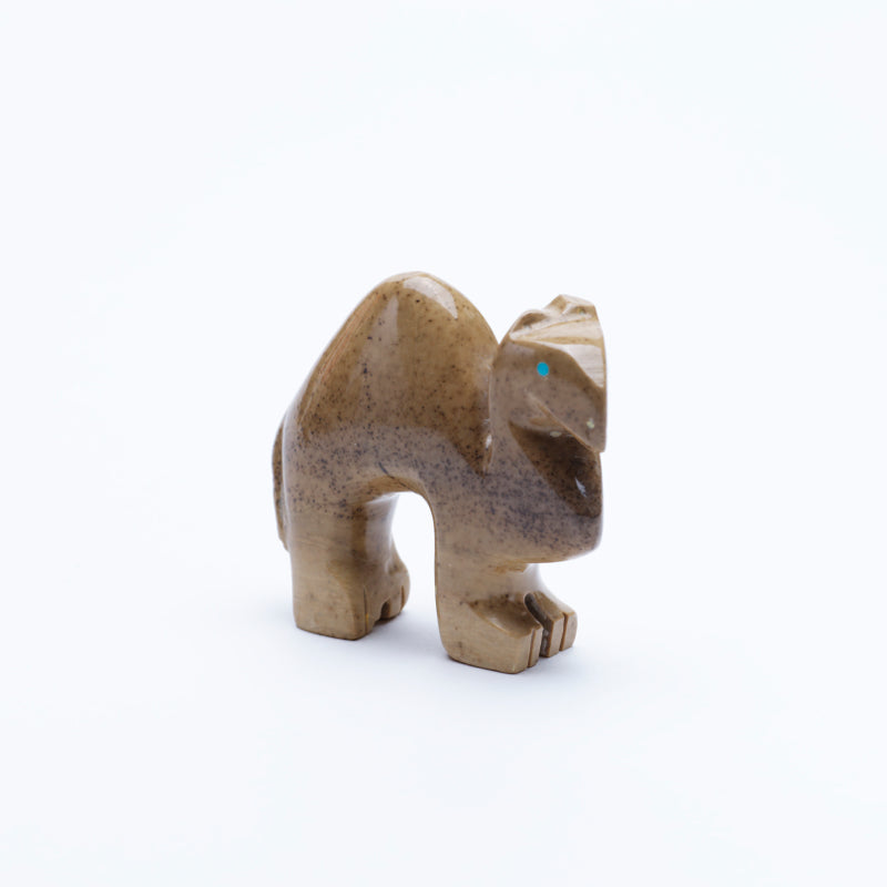 Gilbert Lonjose: Fishrock, Camel