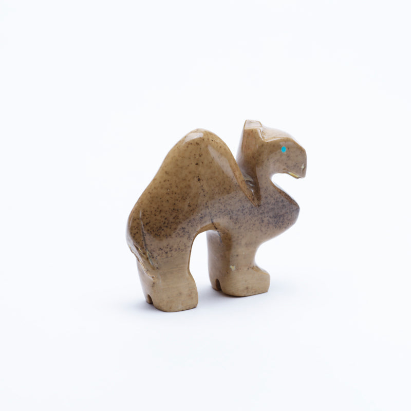 Gilbert Lonjose: Fishrock, Camel