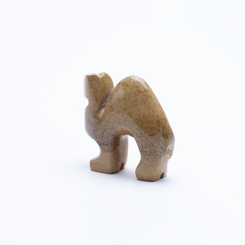 Gilbert Lonjose: Fishrock, Camel