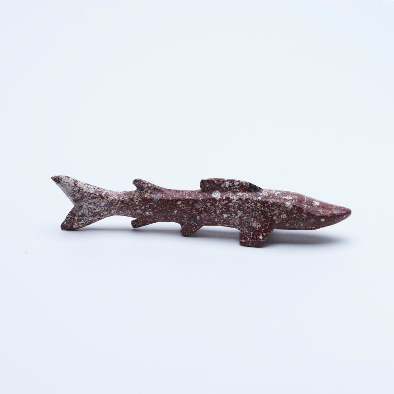 Kenny Chavez: Magnesite, Shark