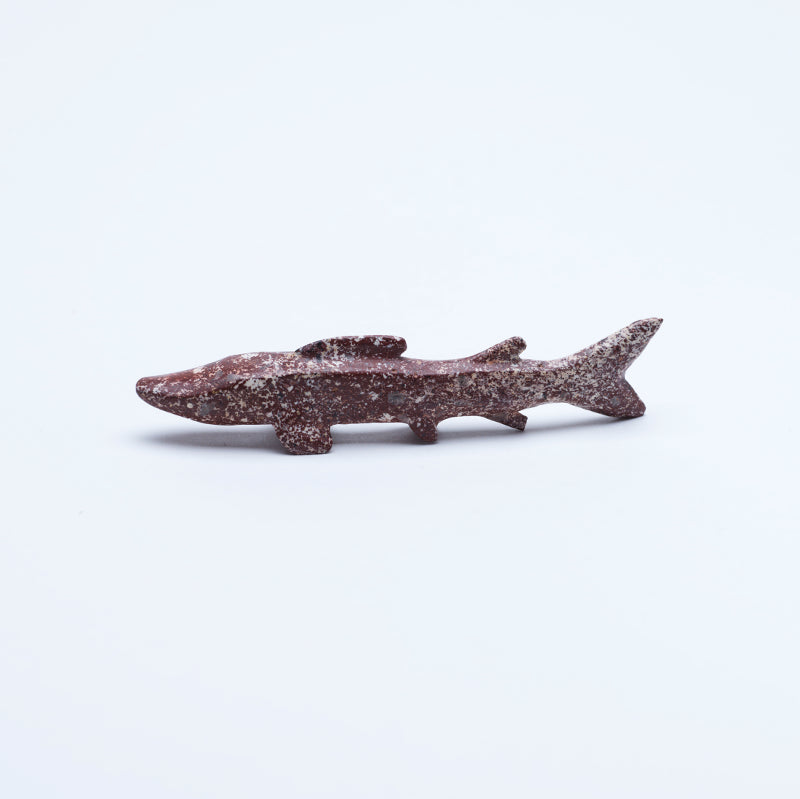Kenny Chavez: Magnesite, Shark