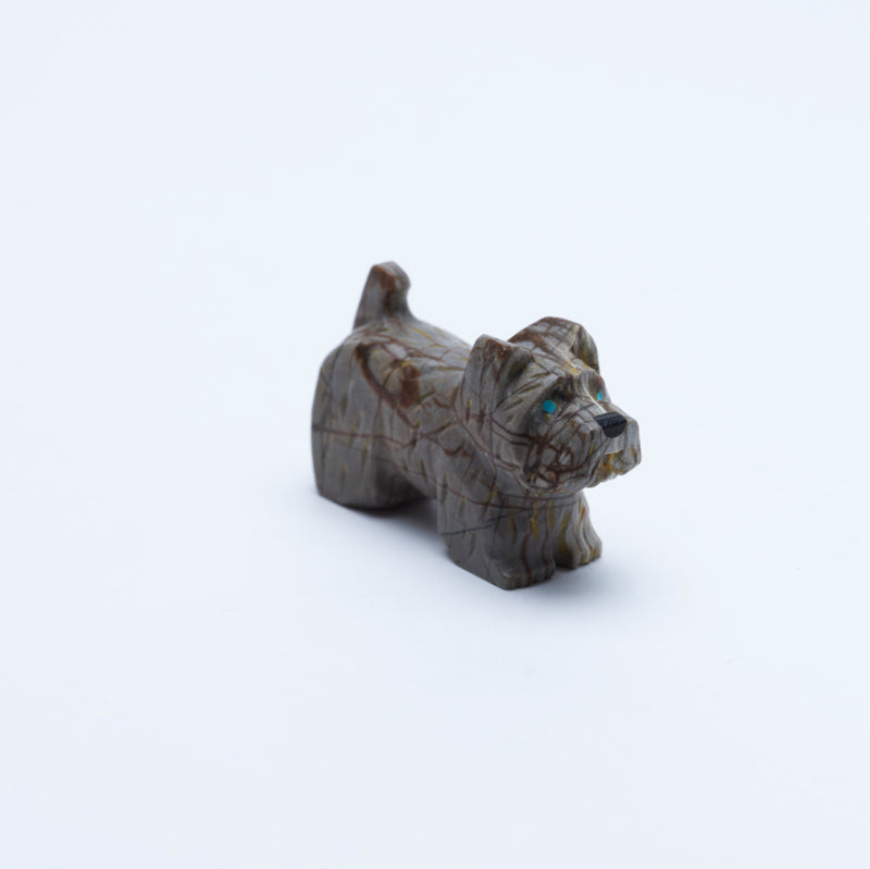 Felissa Martin: Picasso, Scottish Terrier