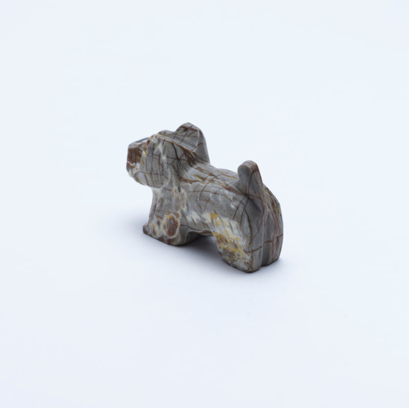 Felissa Martin: Picasso, Scottish Terrier