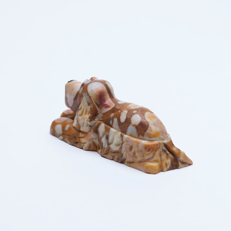 Felissa Martin: Tigilite, English Cocker Spaniel