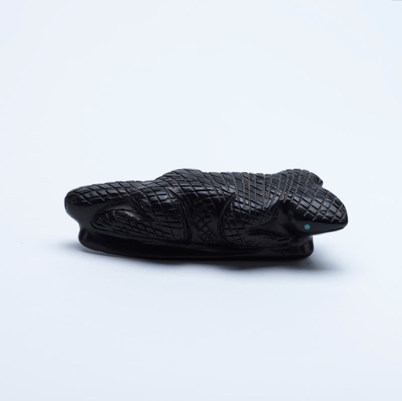 Justin Red Elk: Jet Lizard