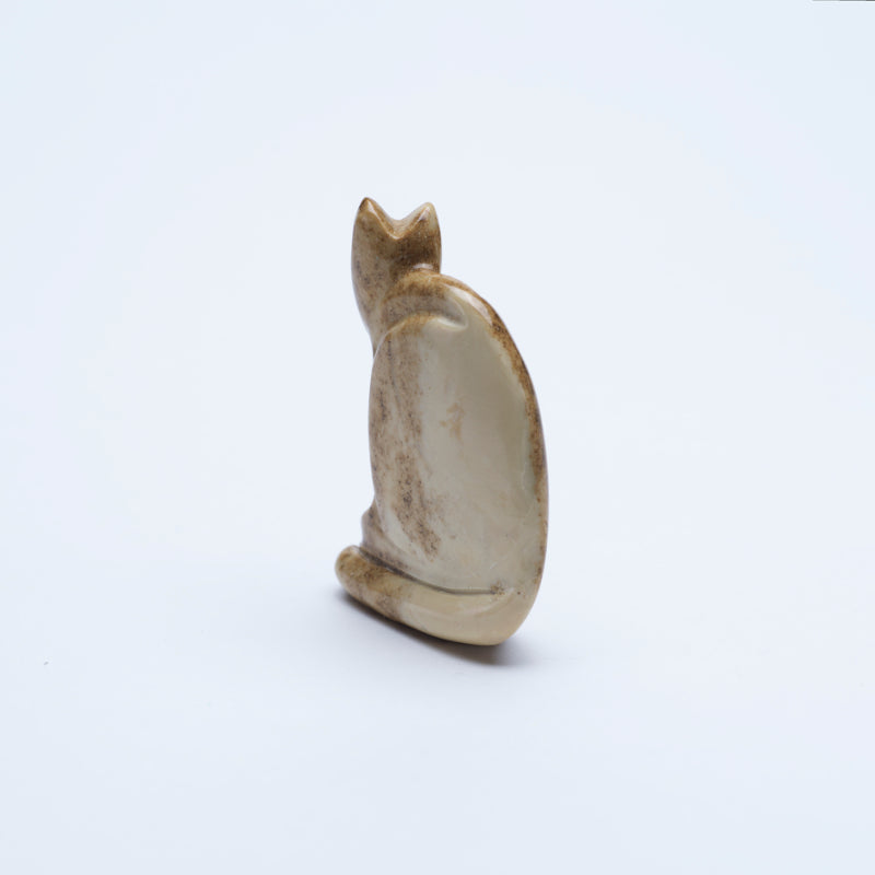 Gilbert Lonjose: Brown Fishrock, Cat