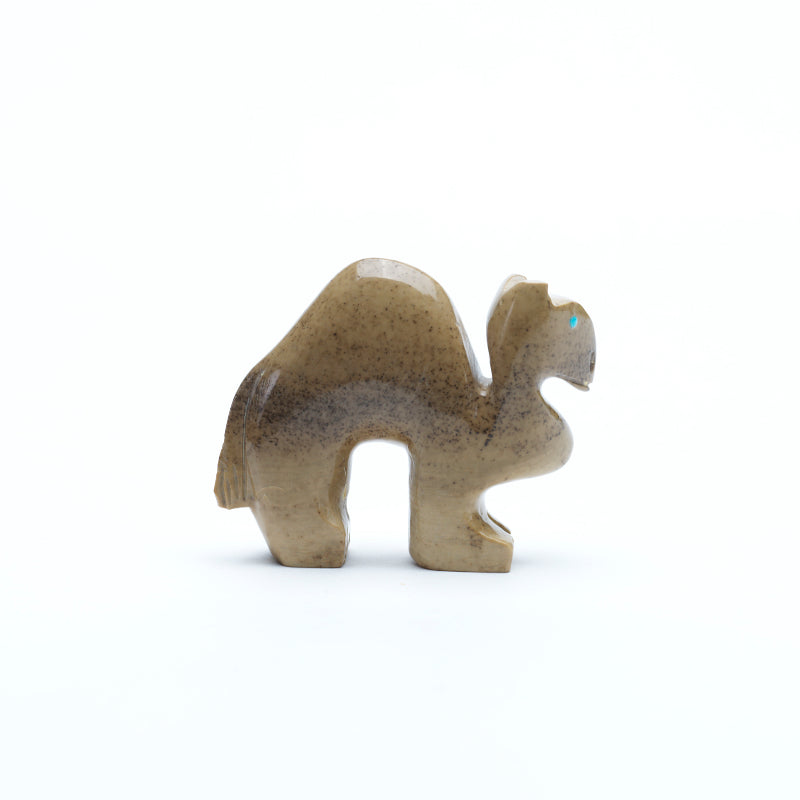 Gilbert Lonjose: Fishrock, Camel