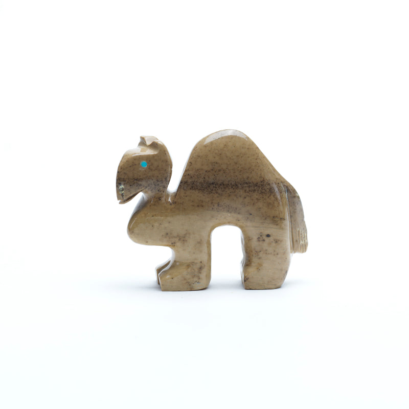 Gilbert Lonjose: Fishrock, Camel